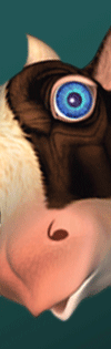 image link to cow faces